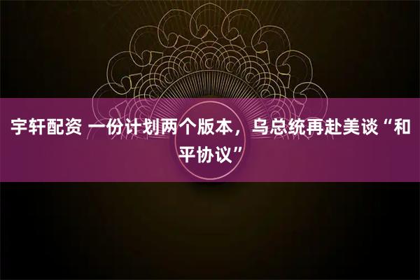 宇轩配资 一份计划两个版本，乌总统再赴美谈“和平协议”