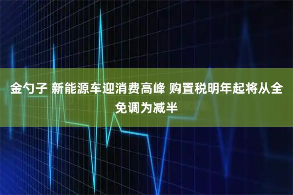 金勺子 新能源车迎消费高峰 购置税明年起将从全免调为减半