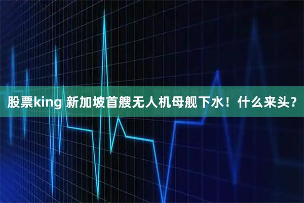 股票king 新加坡首艘无人机母舰下水！什么来头？