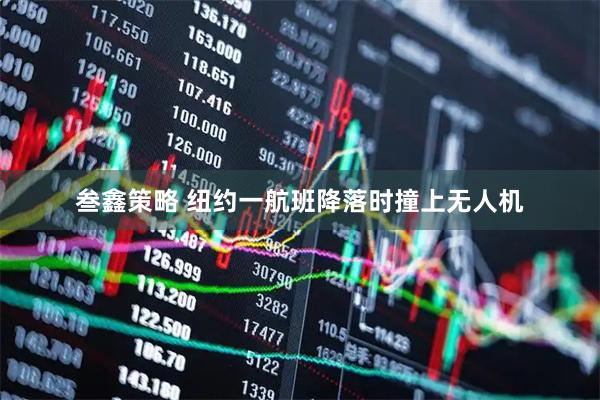 叁鑫策略 纽约一航班降落时撞上无人机